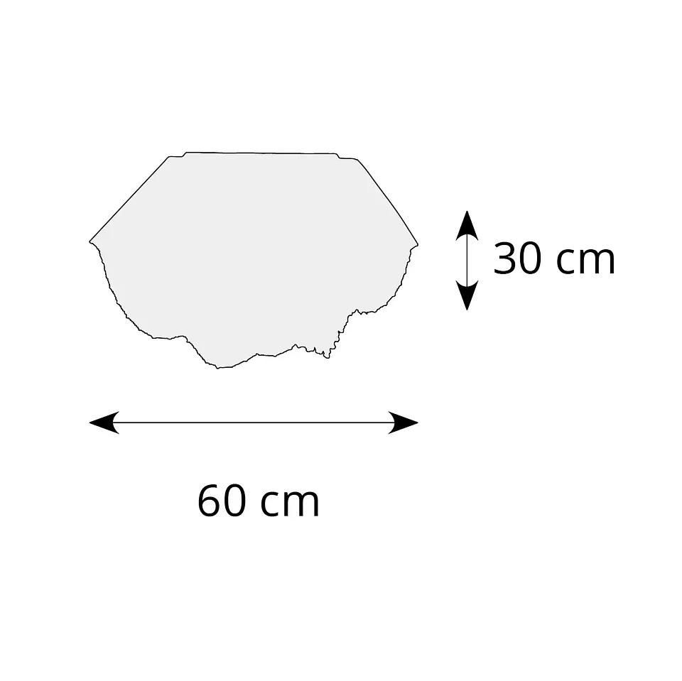 Plafond CAMILA 10xG9 Alt.30xD.60cm Cristais e chapa níquelada cromado 2
