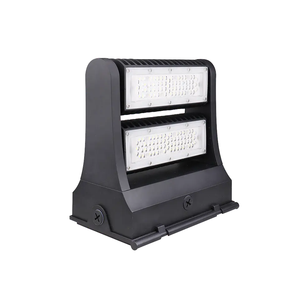 80W Sirius 5000K IP65 1