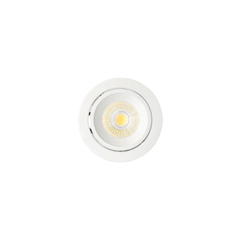 Vaun 10W D90 36º - Branco 2700K IP40 1