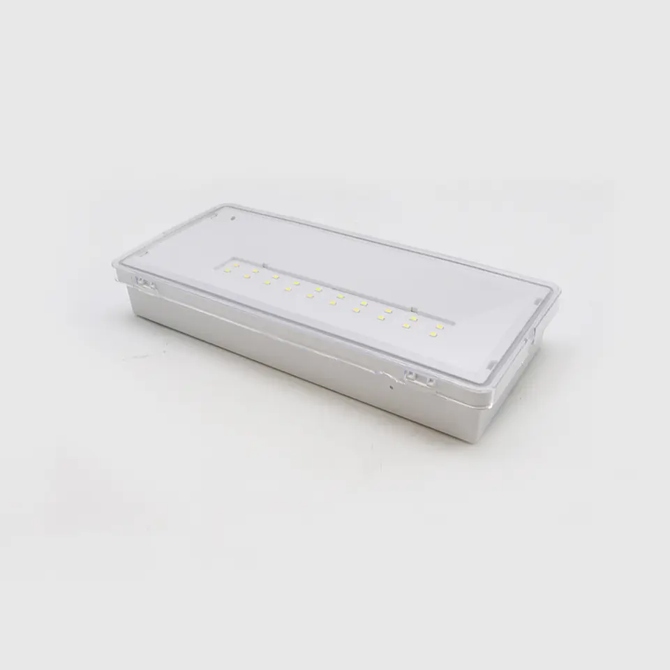 ARMADURA DE EMERGENCIA LED R20 IP65 4.5W 6500K 2