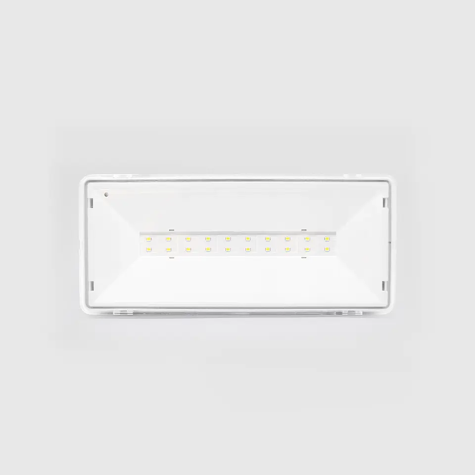 ARMADURA DE EMERGENCIA LED R20 IP65 4.5W 6500K 6