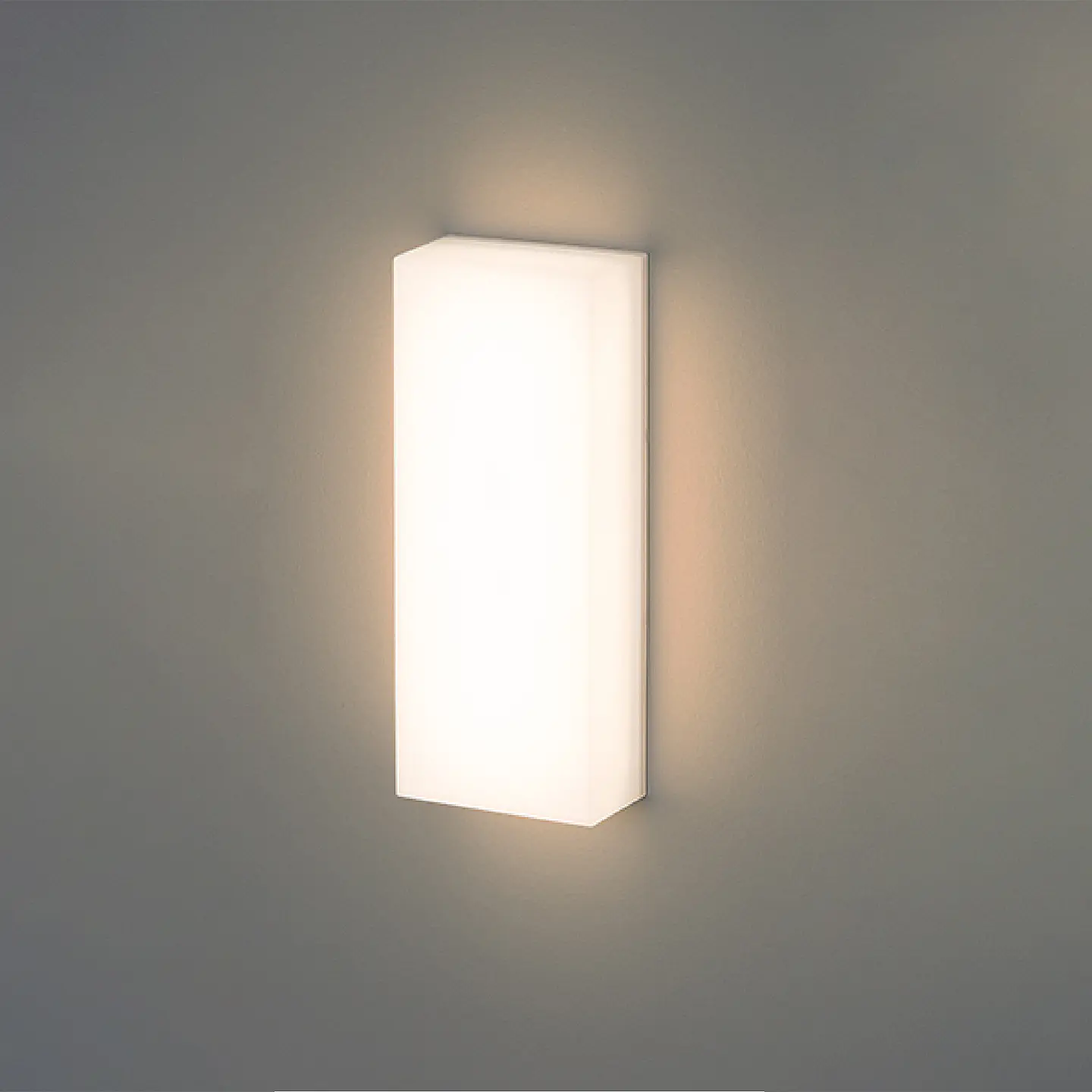 APLIQUE LED DE PAREDE RETANGULAR 6W 2700K IP65 4