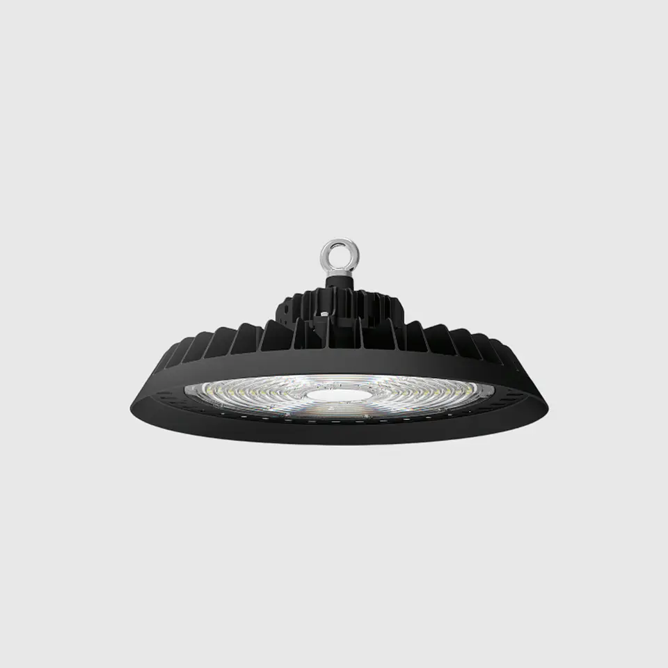 CAMPANULA UFO 