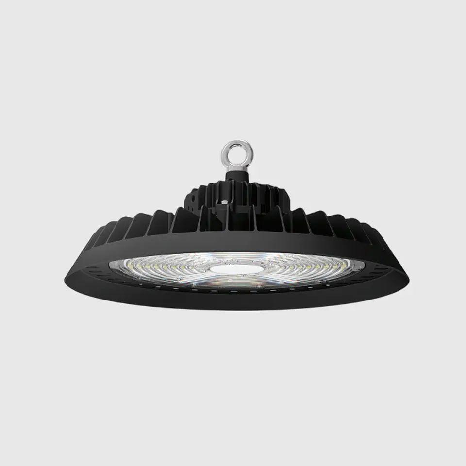 CAMPANULA UFO 