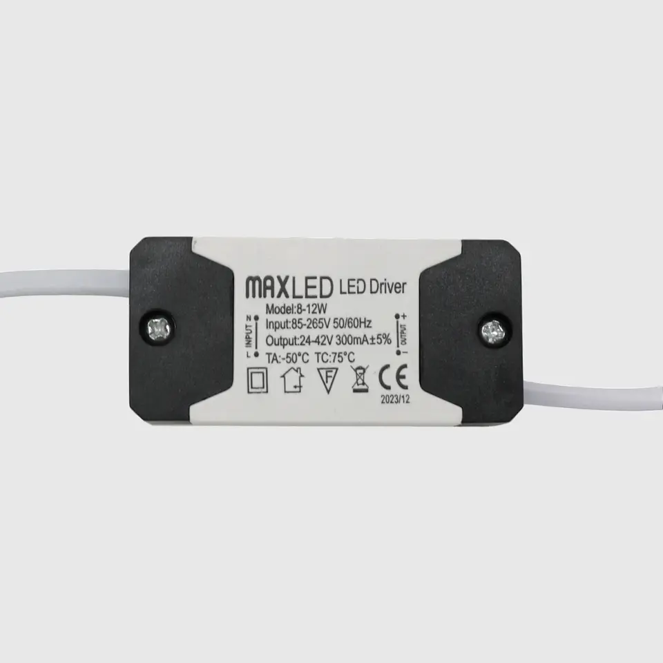 LED DRIVER 12W 1