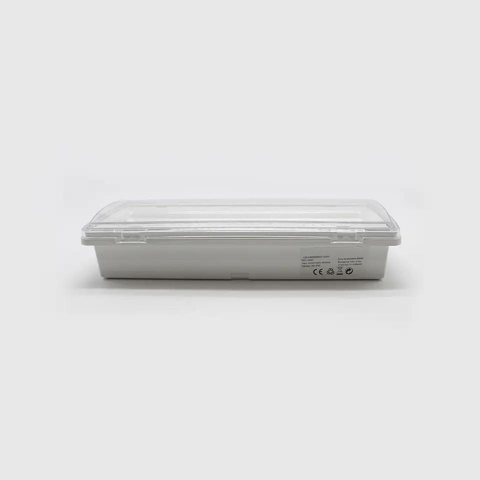 ARMADURA EMERGENCIA IP65 4W 4000K 3