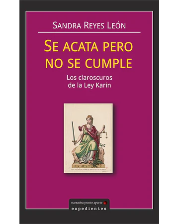Se acata pero se cumple. Los claroscuros de la Ley Karin | Sandra Reyes