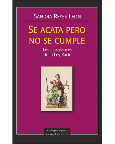 Se acata pero se cumple. Los claroscuros de la Ley Karin | Sandra Reyes