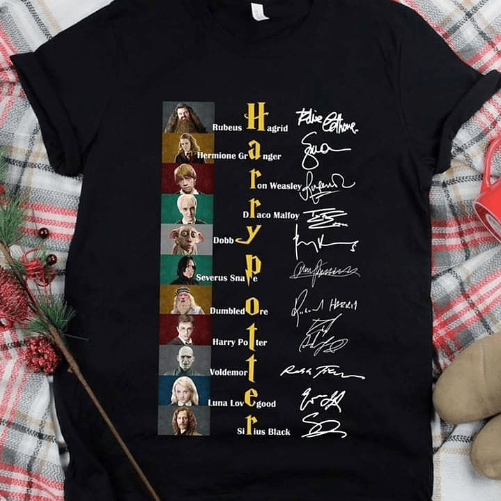 Polera Aniversario Harry Potter 2001–2023 – Edición Especial ✨ 2