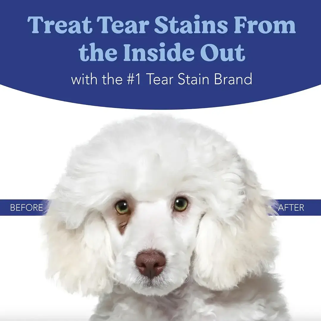 Polvo Antimanchas En Las Lágrimas Angels' Eyes Natural Plus 2