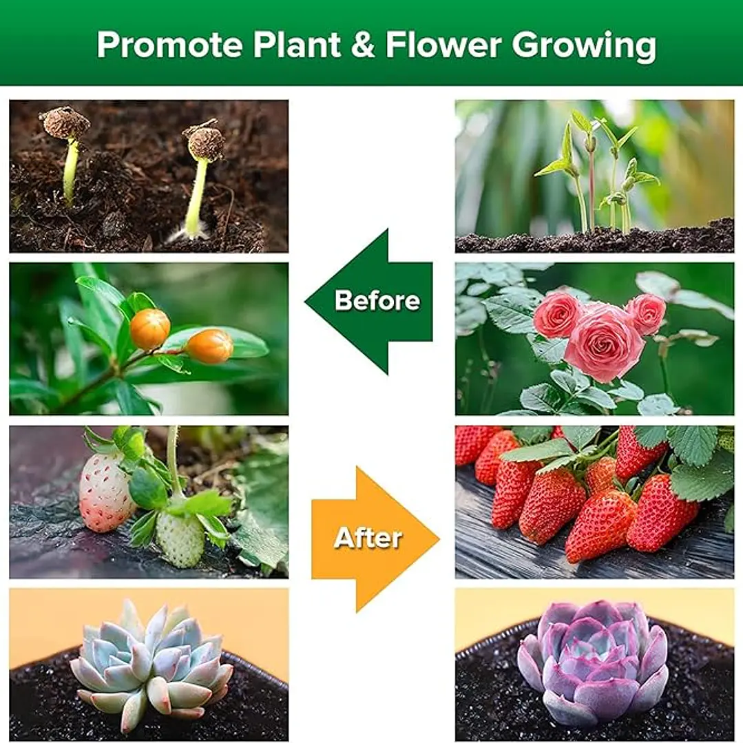 3 Bombillas LED para cultivo SANSI para semillas y verduras, luz de crecimiento de espectro completo de 10W (equivalente a 150 vatios) con lente óptica para plantas de interior, alto PPFD, base E26 4