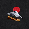 PRIMITIVE MELTDOWN BOXY HOOD