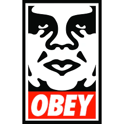 MISTERY BOX OBEY HOODIE 2X1