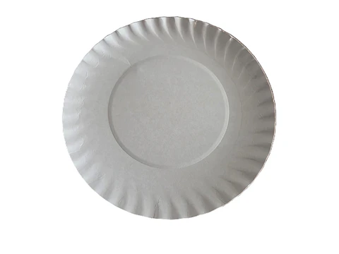 100 platos de cartón N°2