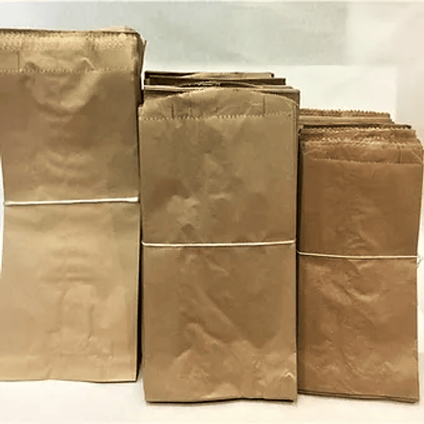 SACO DE PAPEL 7kgs  28x46cms  100un