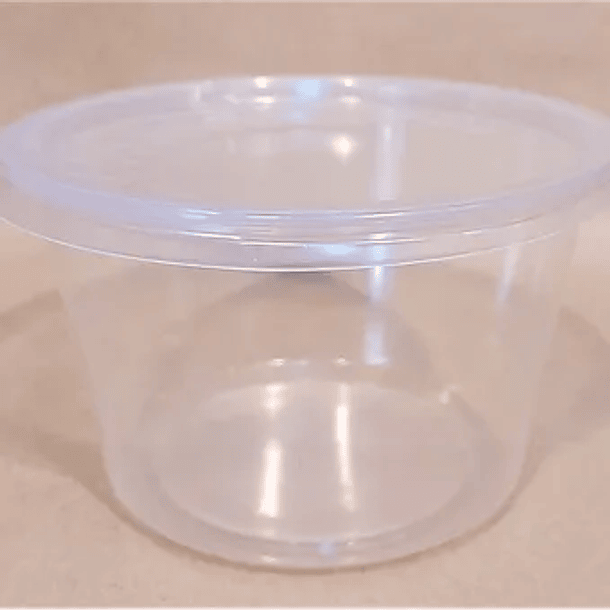 POTE TRANSPARENTE 16oz C/TAPA (10 UNIDADES)