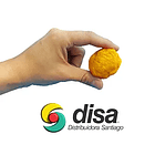 HUESILLO GRANDES 1 KILO 2