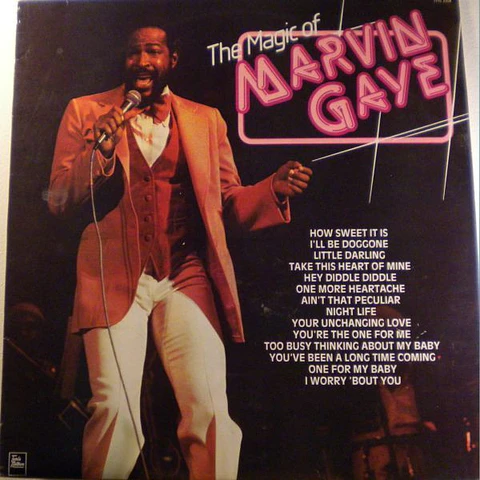 The Magic Of Marvin Gaye - Marvin Gaye (Disco de Vinilo, Edición de Época, VG+)