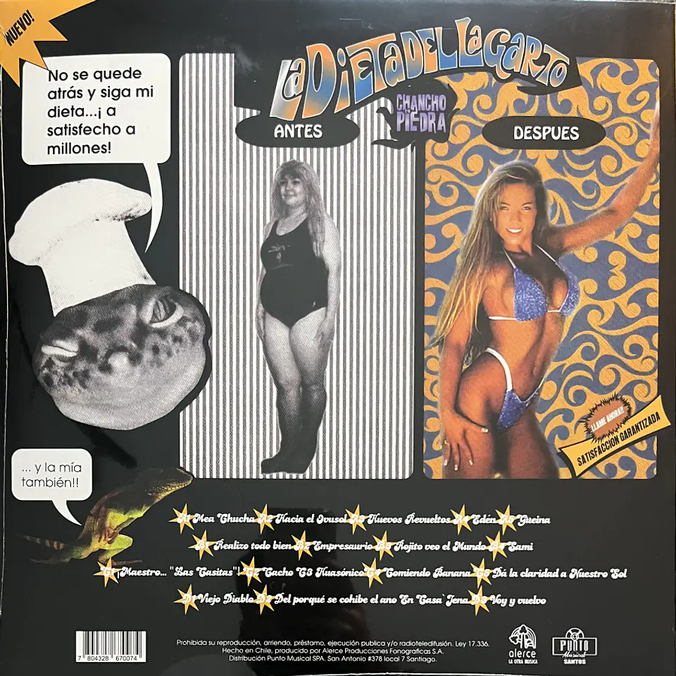 La Dieta Del Lagarto - Chancho en Piedra (Vinilo Doble 2LP) 2