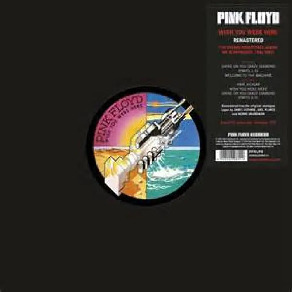 Wish You Were Here - Pink Floyd (Disco de Vinilo) 2