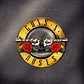 Vinilo Guns N Roses Greatest Hits 2LP - Miniatura 1