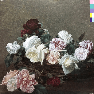 New Order - Power, Corruption & Lies