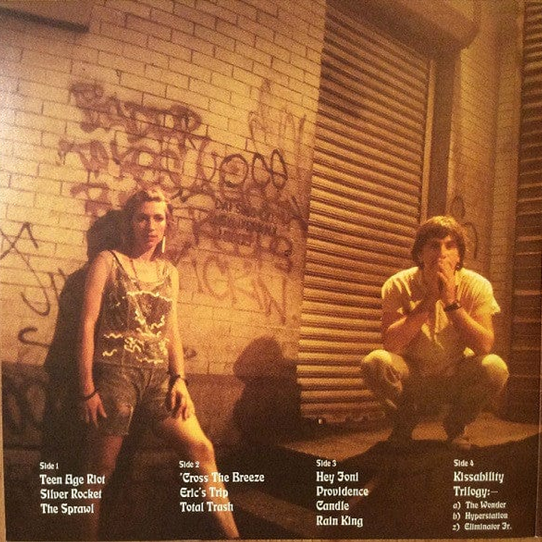 Sonic Youth - Daydream Nation 2