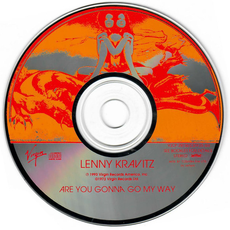 Lenny Kravitz - Are You Gonna Go My Way 4