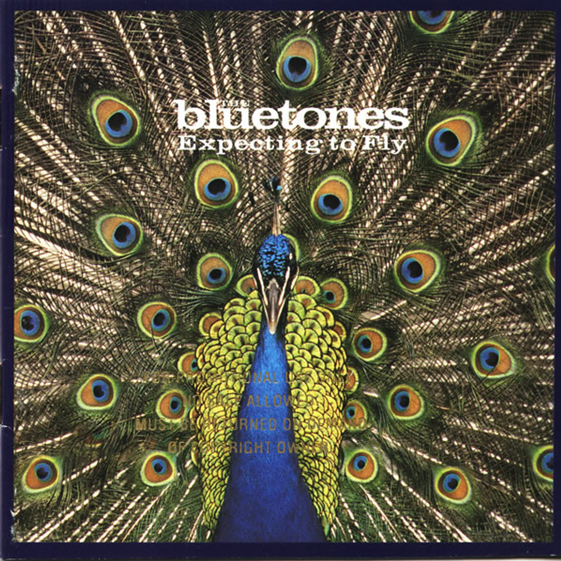 The Bluetones - Expecting To Fly 1