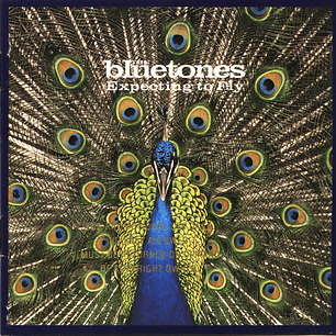 The Bluetones - Expecting To Fly