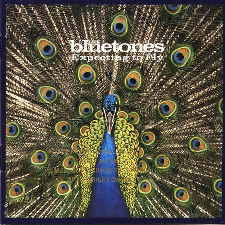 The Bluetones - Expecting To Fly 1