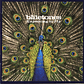 The Bluetones - Expecting To Fly - Miniatura 1
