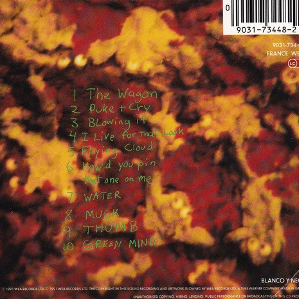 Dinosaur Jr - Green Mind 2