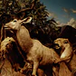 Interpol - Our Love To Admire - Miniatura 1