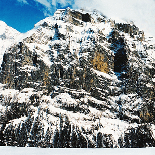 Moloko - I Am Not A Doctor