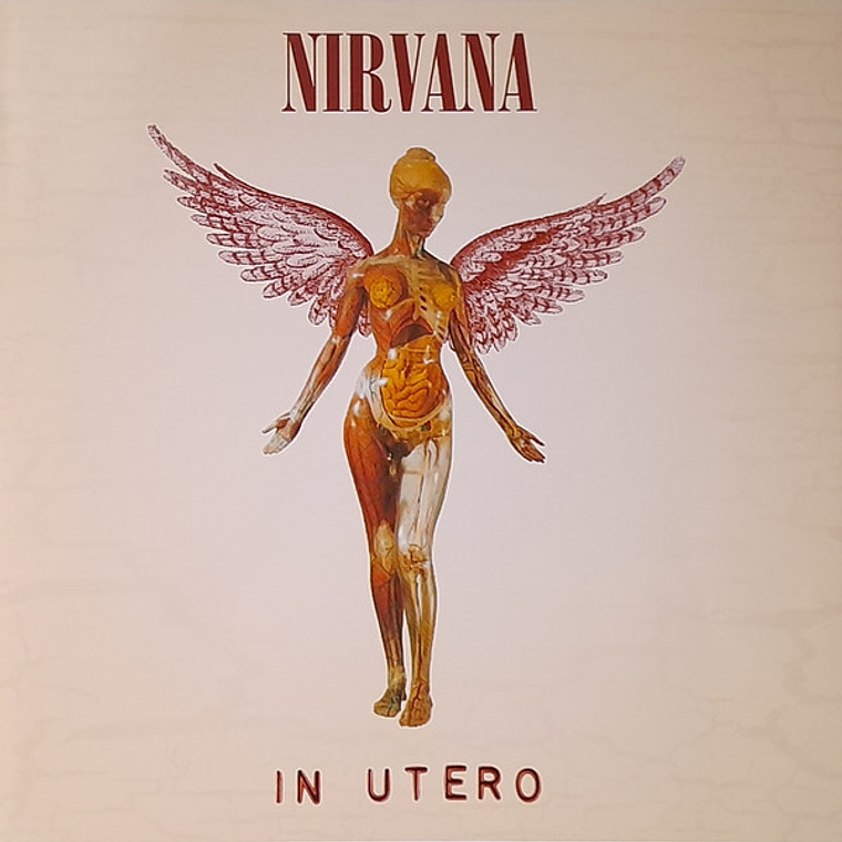Nirvana - In Utero 1