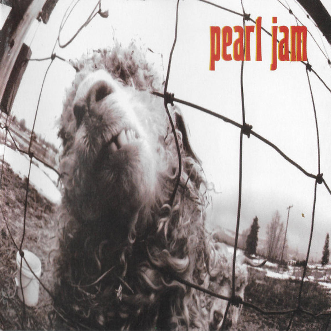 Pearl Jam - Vs 1