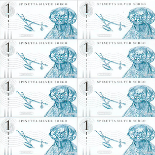 Luis Alberto Spinetta - Silver Sorgo