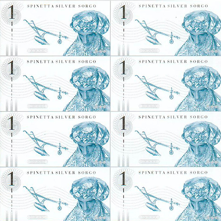 Luis Alberto Spinetta - Silver Sorgo 1