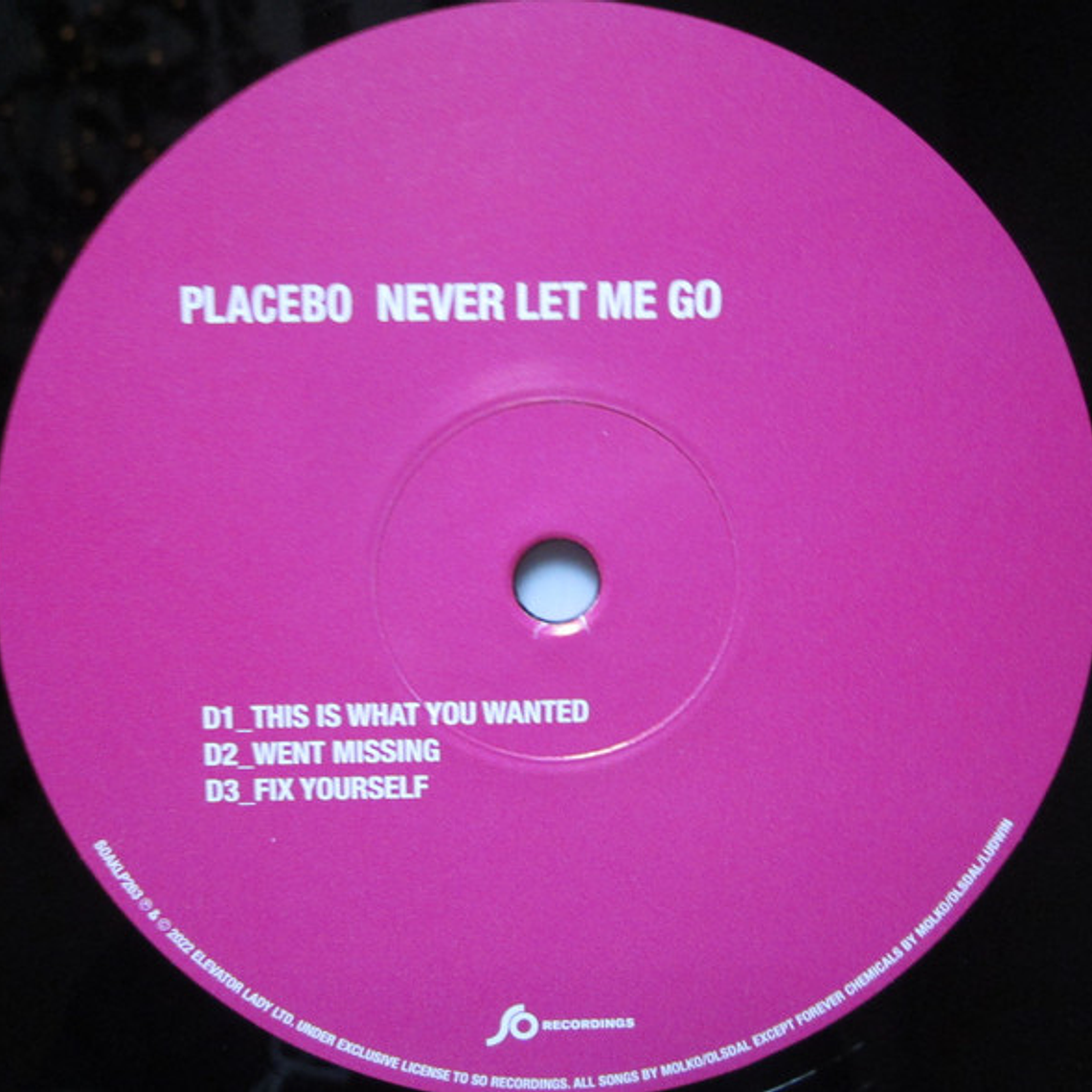 Placebo - Never Let Me Go 6