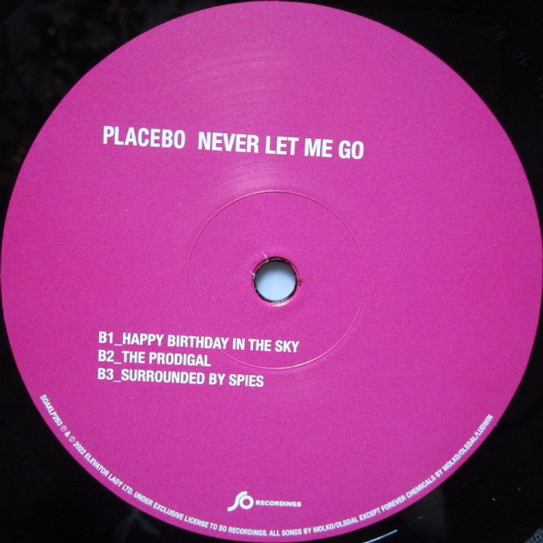 Placebo - Never Let Me Go 4