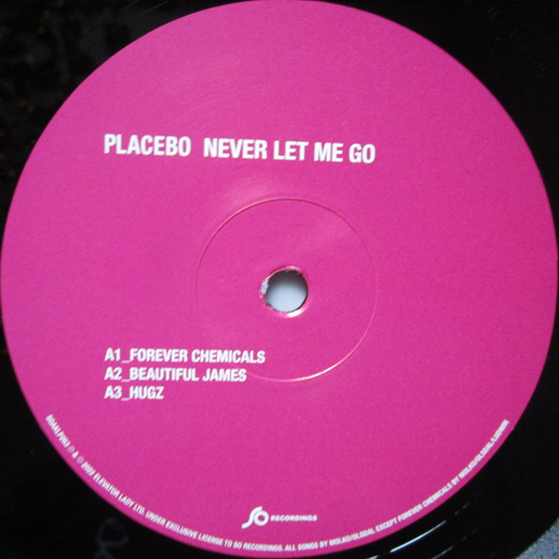 Placebo - Never Let Me Go 3