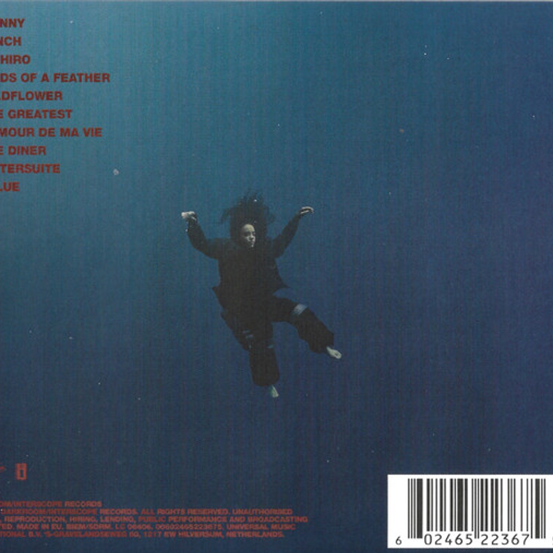 Billie Eilish - Hit Me Hard And Soft 2