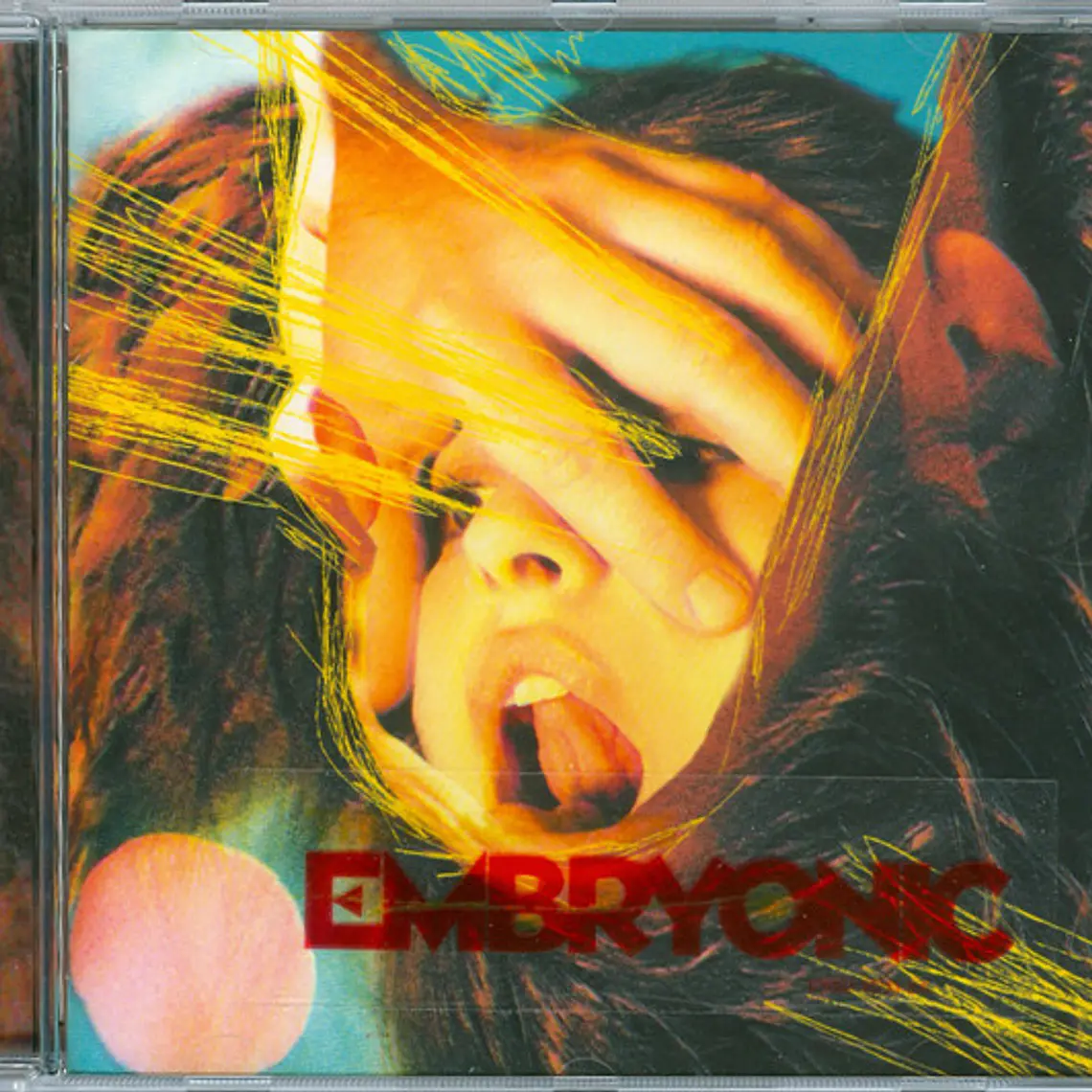 The Flaming Lips - Embryonic 2