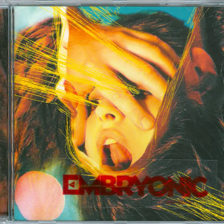 The Flaming Lips - Embryonic 2