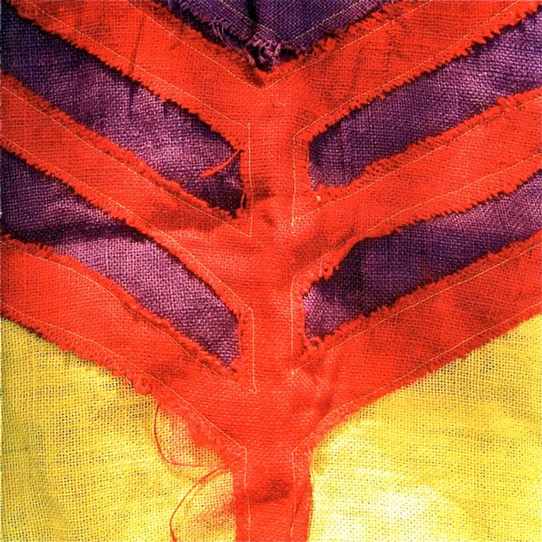 Yeah Yeah Yeahs - Show Your Bones 1