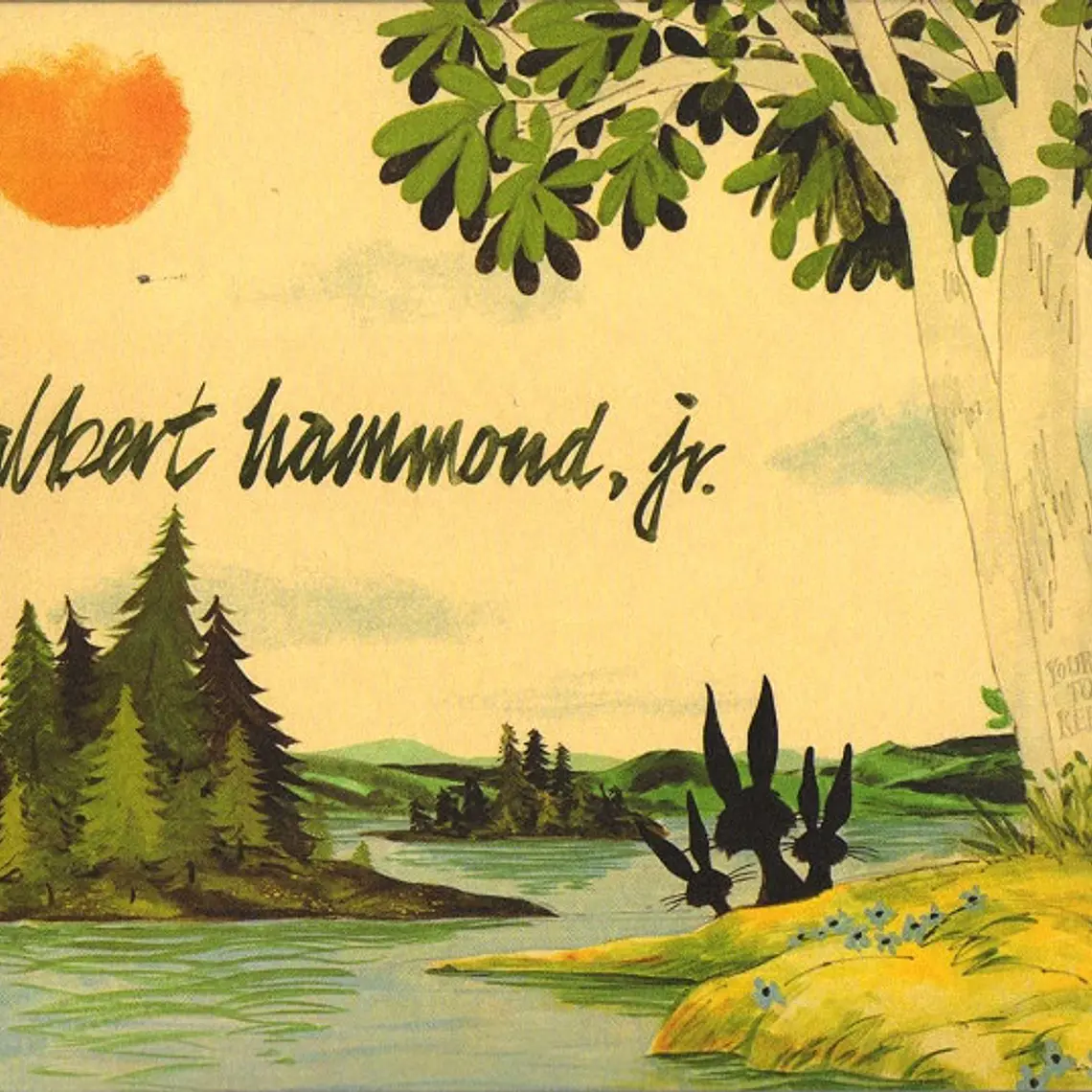 Albert Hammond, Jr. - Yours To Keep 1