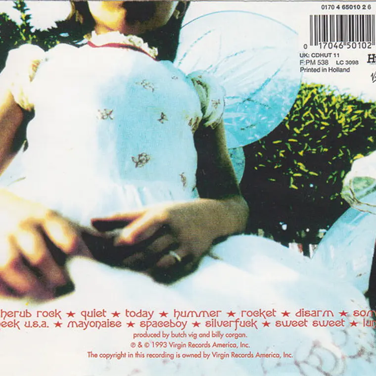 The Smashing Pumpkins - Siamese Dream 2
