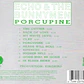 Echo & The Bunnymen - Porcupine - Miniatura 2