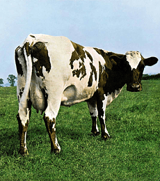 PINK FLOYD - ATOM   HEART  MOTHER